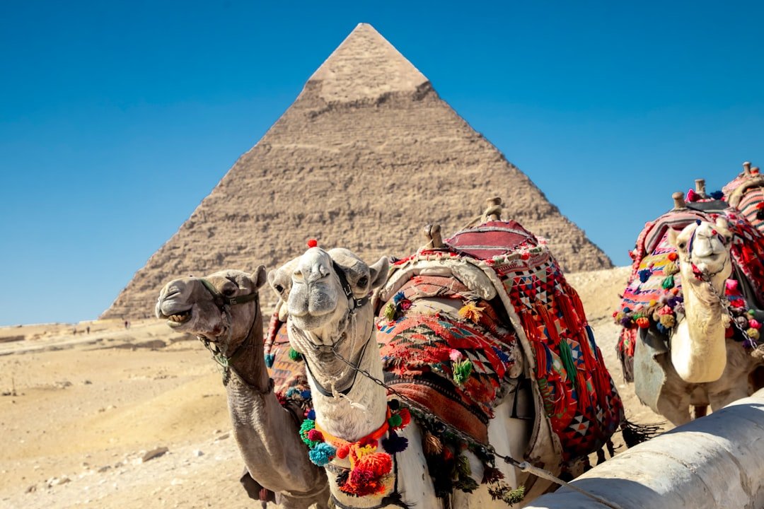 tour_guides_image