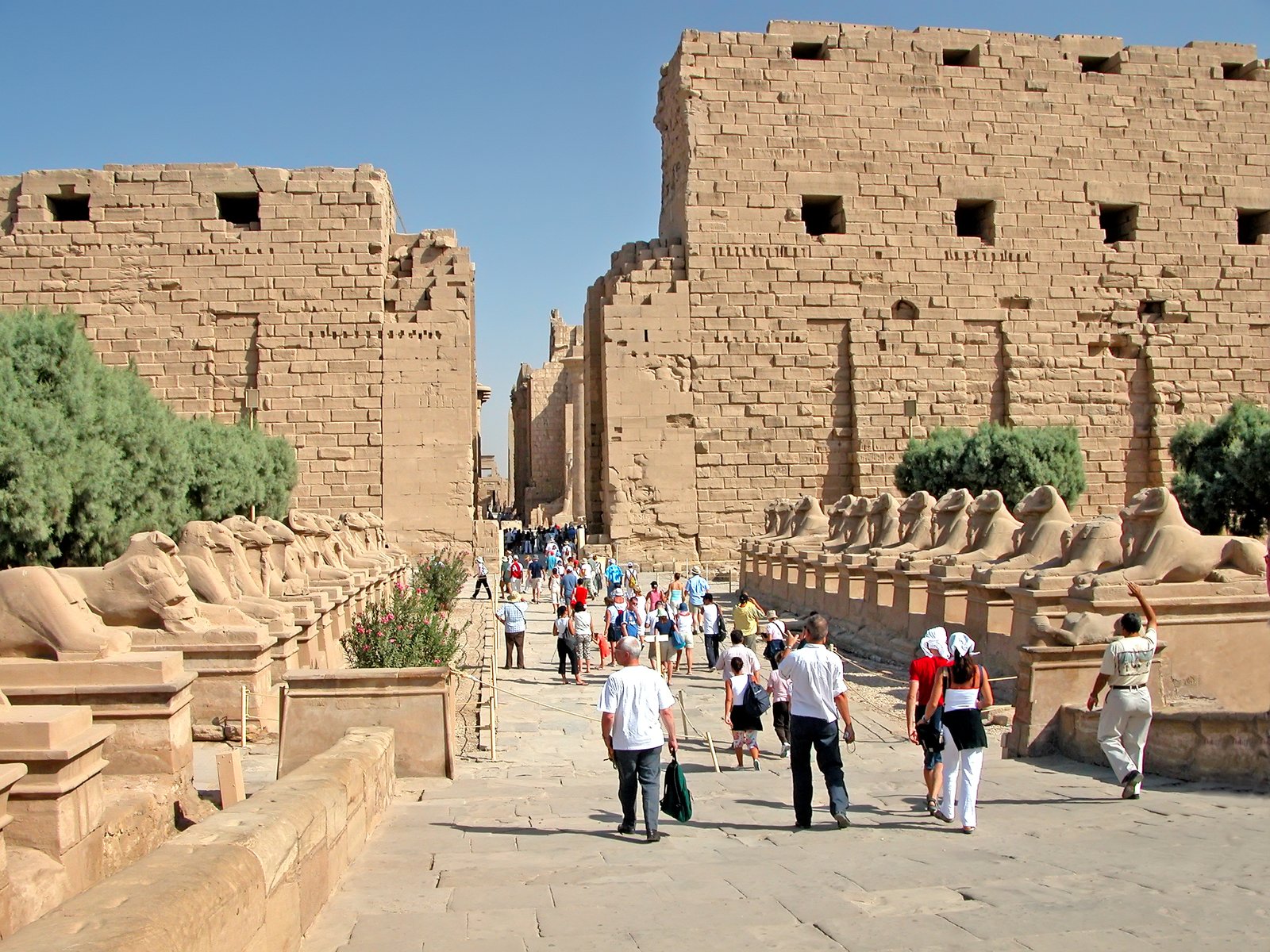Tour to Luxor East and West Banks