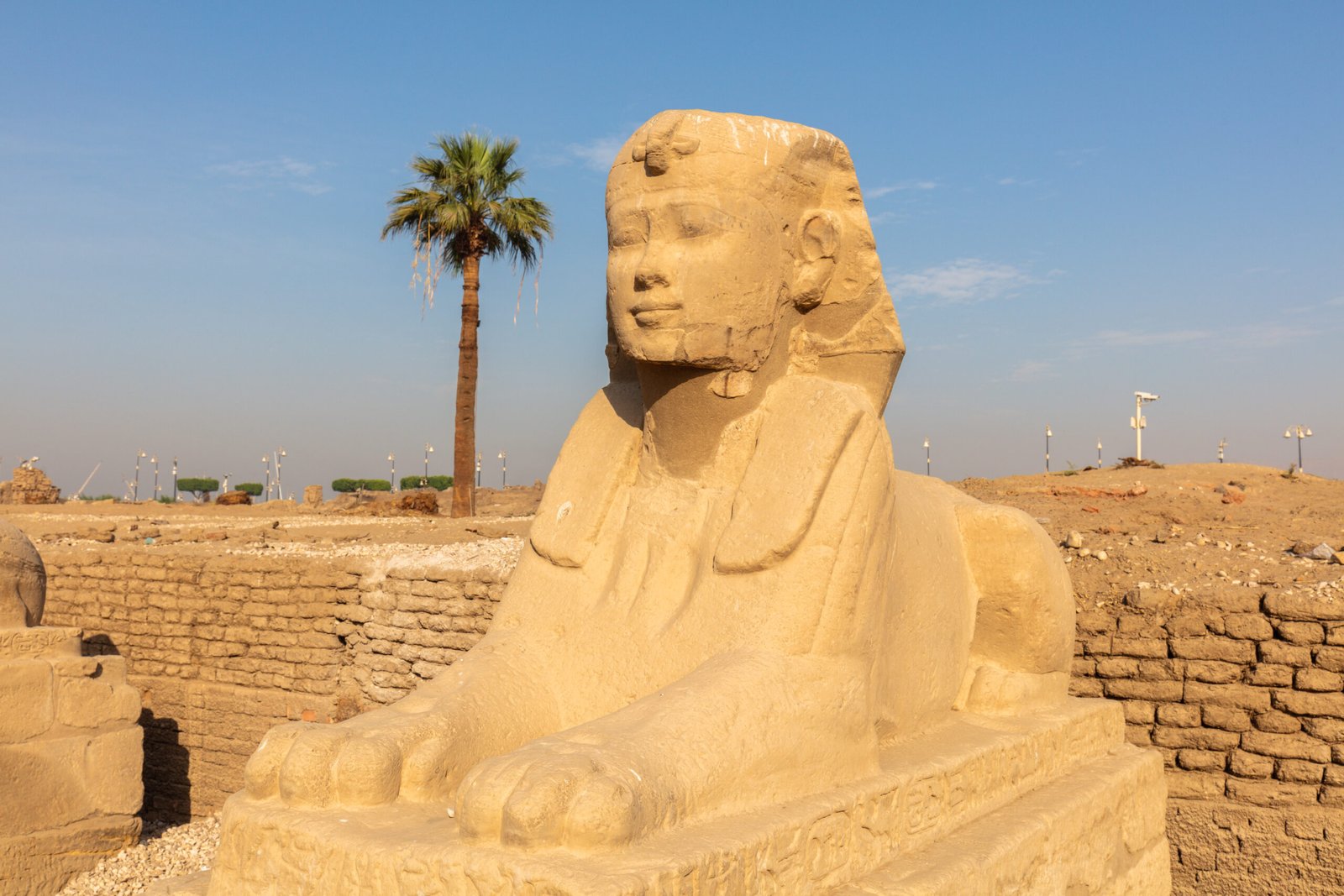 Day Tour from Safaga to Luxor
