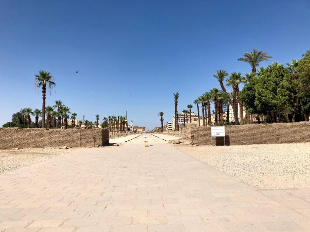 2 Day Trip to Luxor from Marsa Alam
