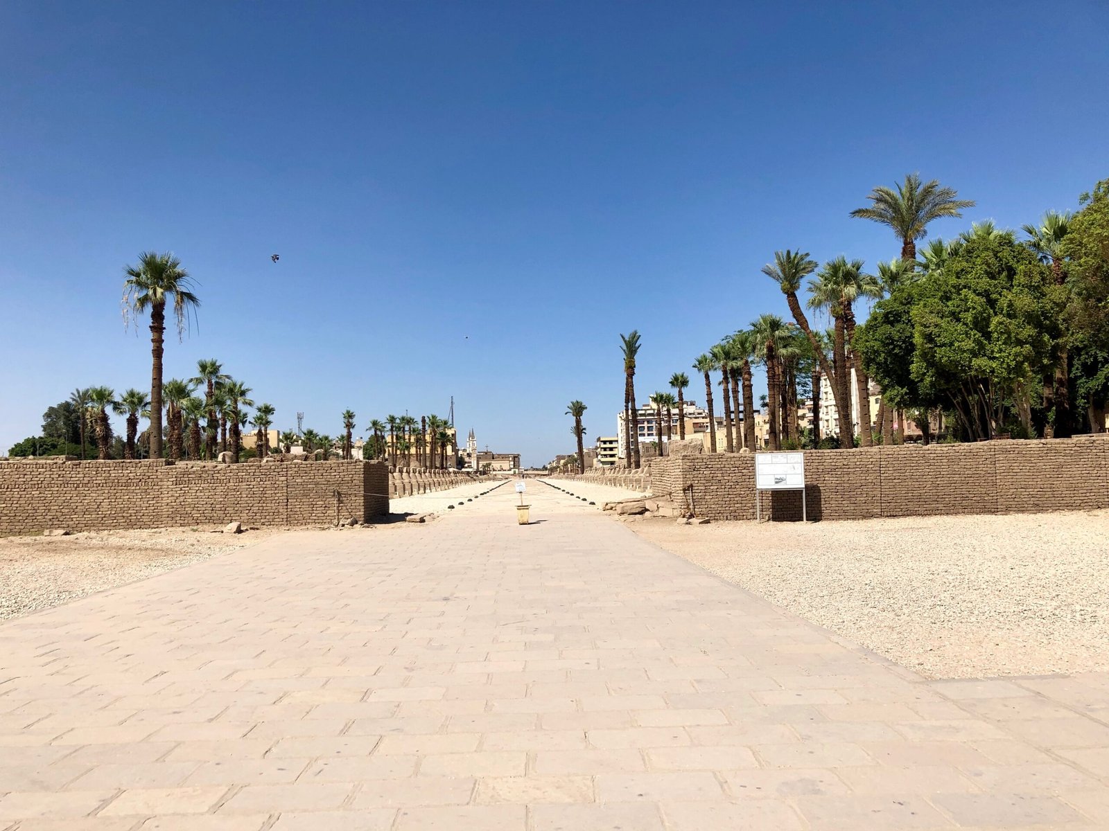 2 Day Trip to Luxor from Marsa Alam