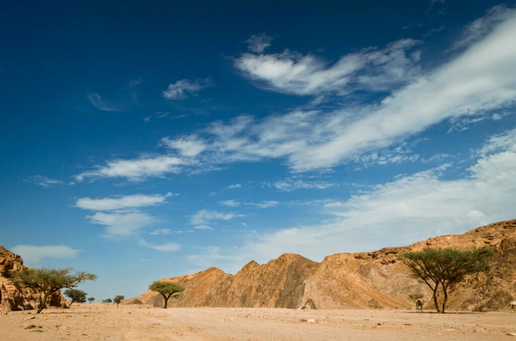 Cairo Trip from Sharm El Sheikh by Bus