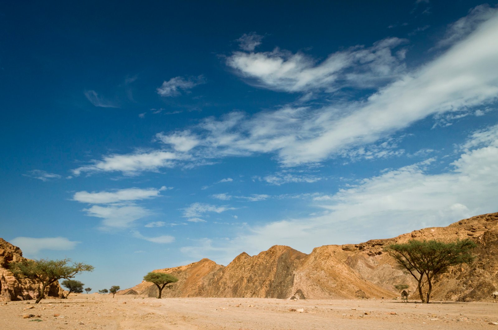 Cairo Trip from Sharm El Sheikh by Bus