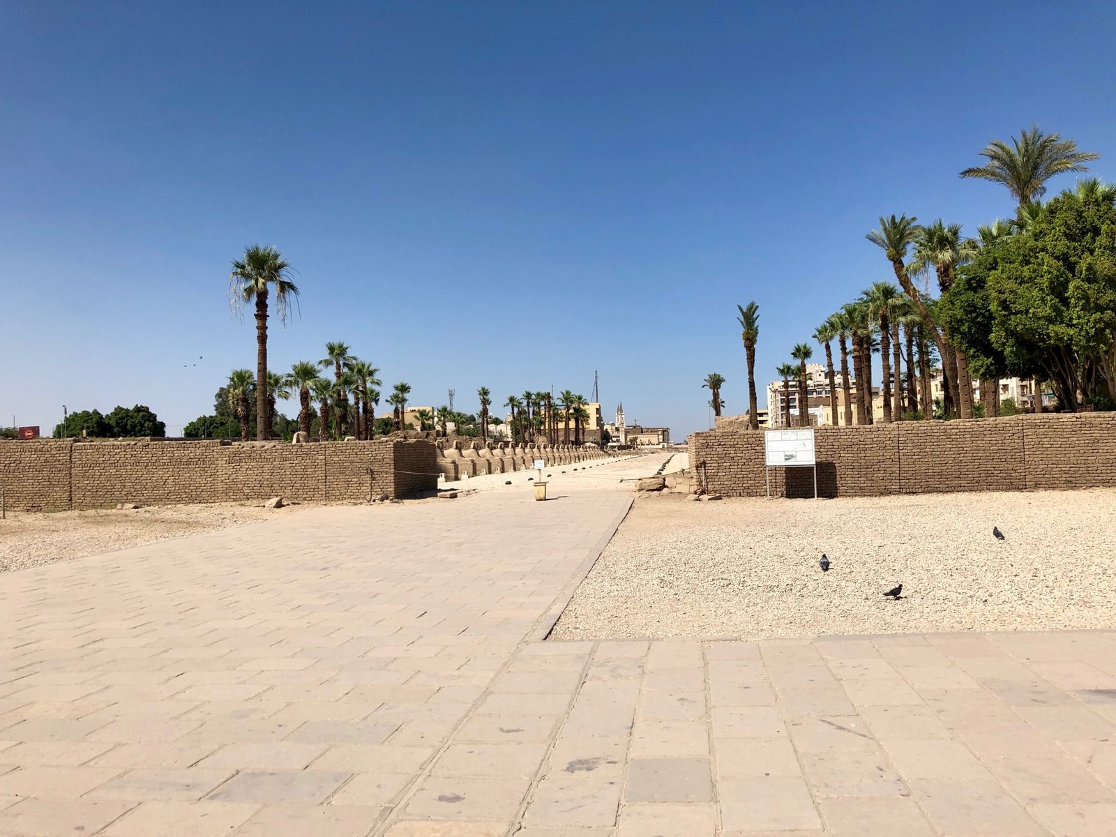 Two Days Trips to Luxor from Cairo by Plane