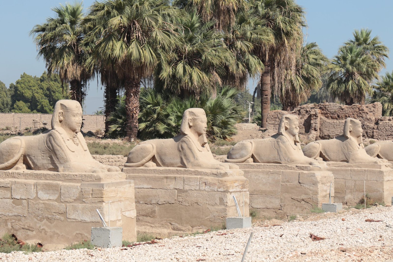 10 Days Cairo, Luxor, Hurghada & Petra