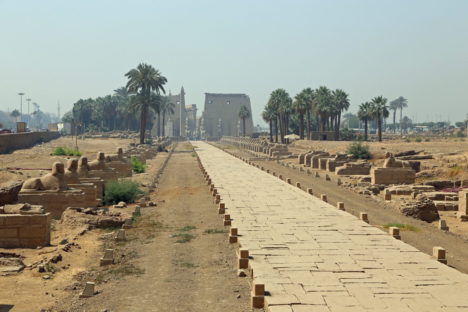 Luxor Horse Carriage Trip