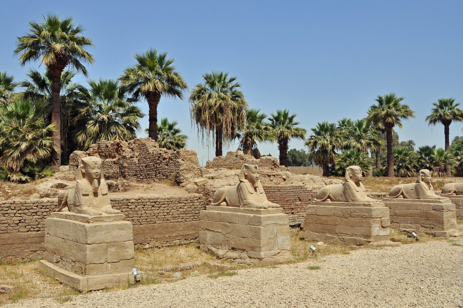 Full Day Tour to Luxor from Port Ghalib