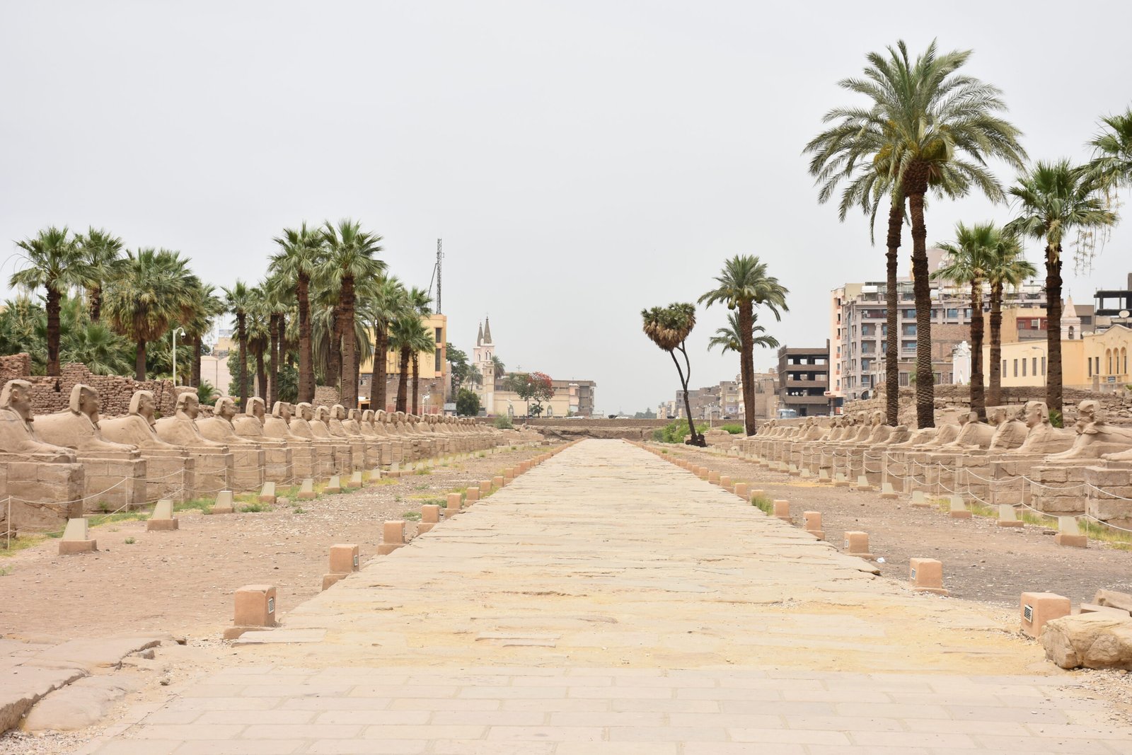 Luxor Tour & Snorkeling Excursion from Safaga Port