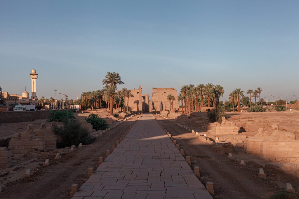 Night Luxor and Dendera & Abydos from Safaga
