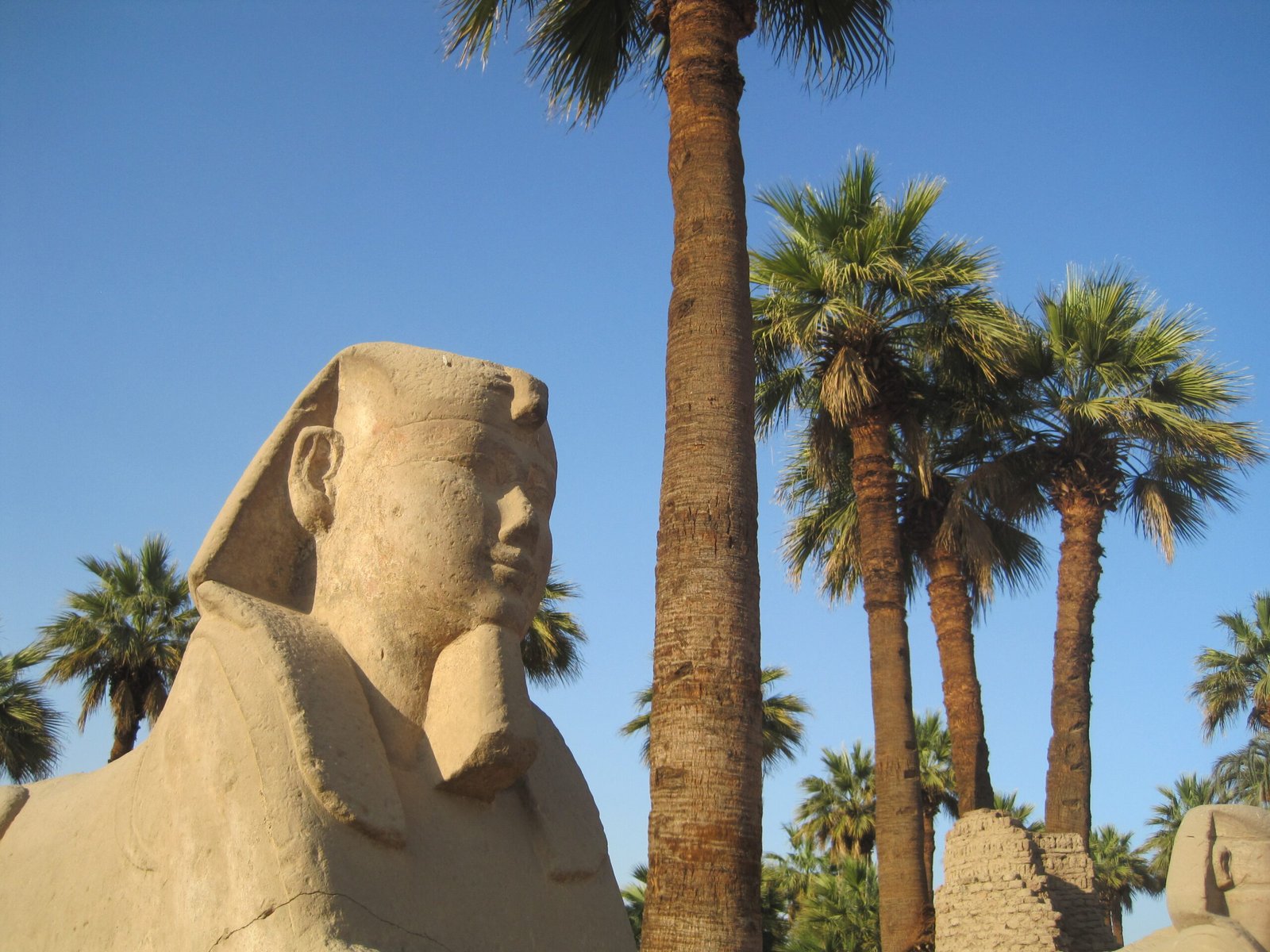 4 Days in Luxor Tour