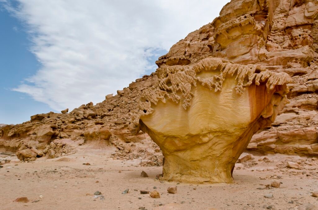 8 Days Spiritual Tour To Cairo, Sinai, and Oasis
