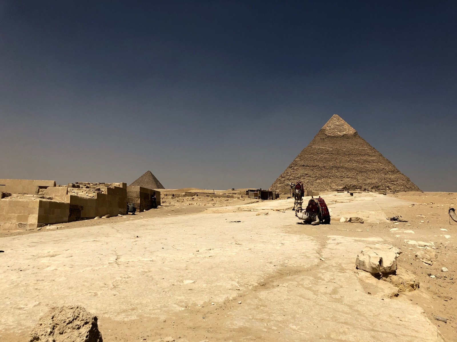 Best of Cairo Include the National Museum of Egyptian Civilization Tour