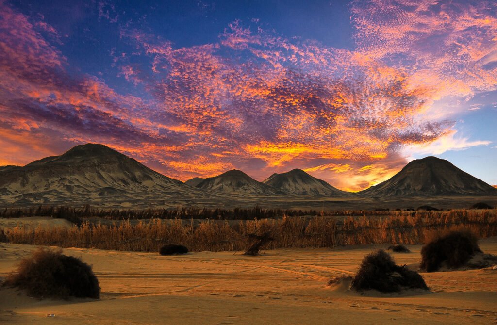 Wadi El Hitan & Desert Safari Tour From Cairo