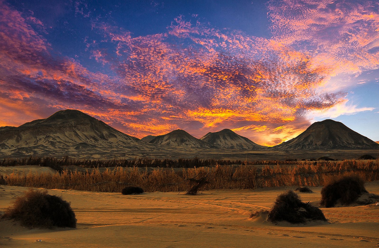 Wadi El Hitan & Desert Safari Tour From Cairo