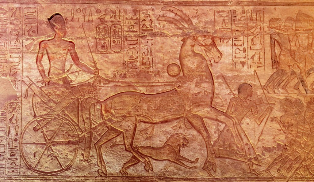 5 Days Cairo, Aswan, and Abu Simbel Wheelchair Tour