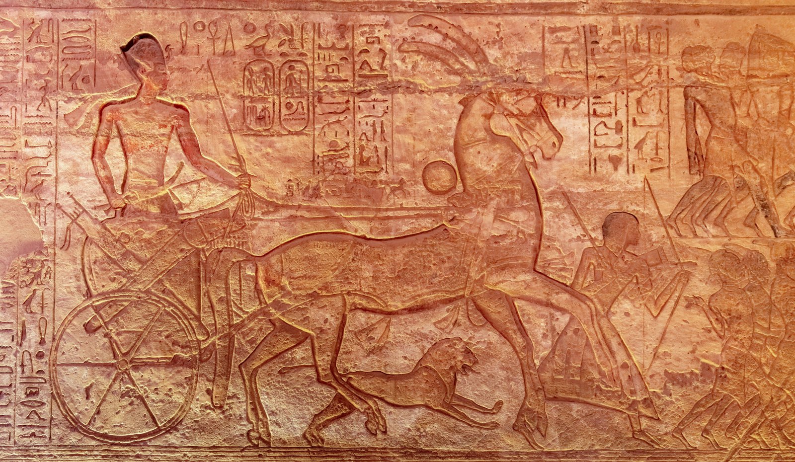 5 Days Cairo, Aswan, and Abu Simbel Wheelchair Tour